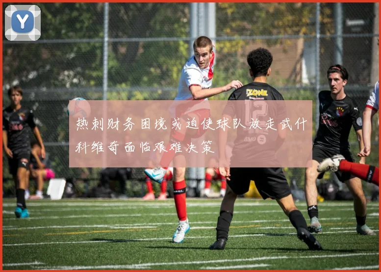 热刺财务困境或迫使球队放走武什科维奇面临艰难决策