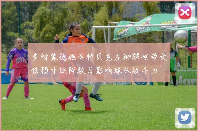 多特蒙德施洛特贝克左脚踝韧带受伤预计缺阵数月影响球队战斗力
