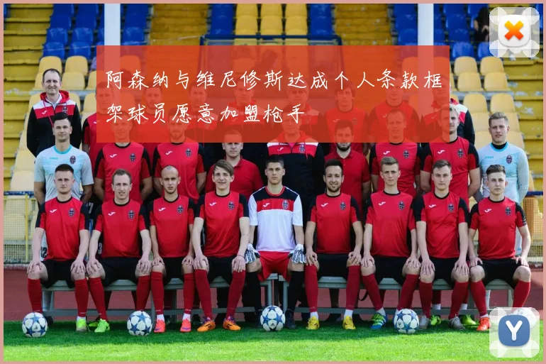阿森纳与维尼修斯达成个人条款框架球员愿意加盟枪手