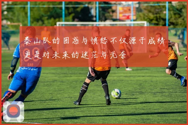 泰山队的困惑与愤怒不仅源于成绩更是对未来的迷茫与无奈