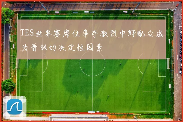 TES世界赛席位争夺激烈中野配合成为晋级的决定性因素